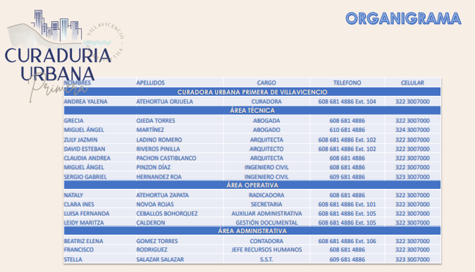 ORGANIGRAMA2